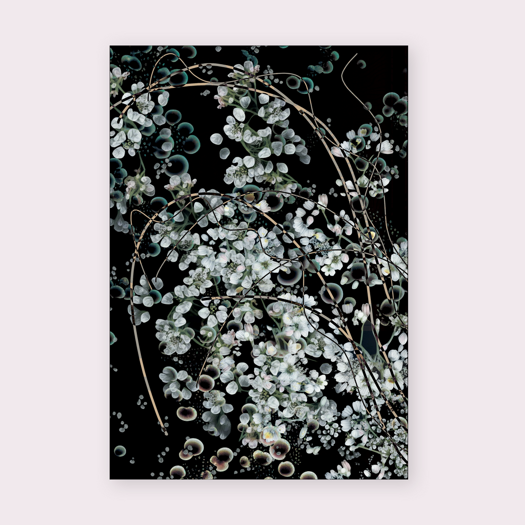 Becoming Magazine: Issue One by Various Authors